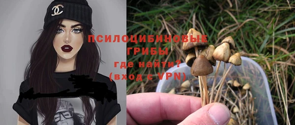 Альфа ПВП Костерёво