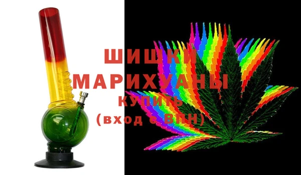 сатива Алзамай