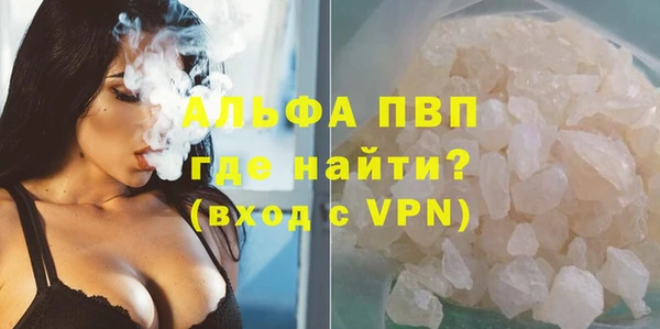 сатива Алзамай