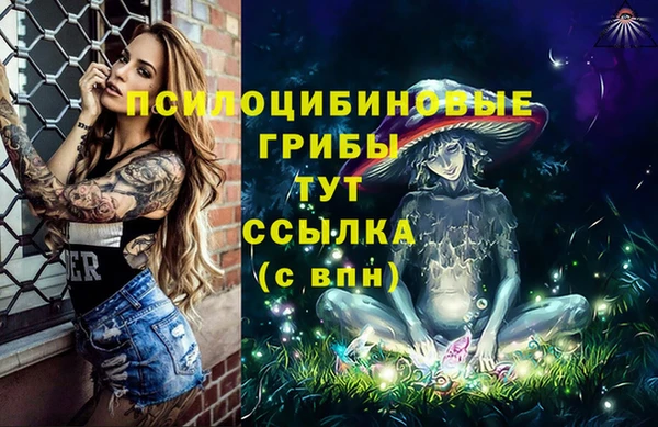 PSILOCYBIN Алексеевка