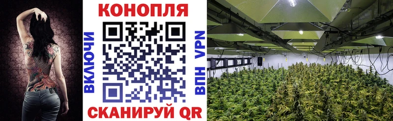 omg   Дзержинский  Бошки Шишки OG Kush 